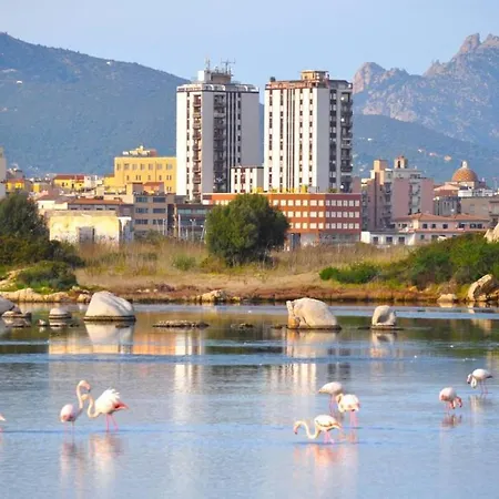 La Casa Dei Fenicotteri Olbia