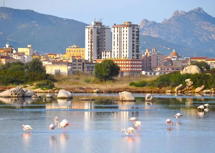 La Casa Dei Fenicotteri Olbia